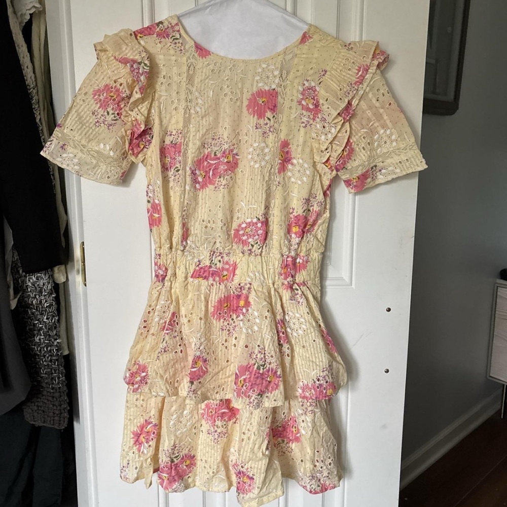 Walter Baker Cream and Pink Floral Mini Dress